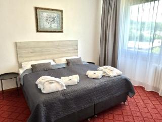 PATRIA HOTEL - Trutnov - 1