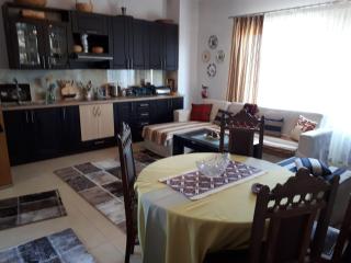 Vila Topalli - Pogradec - 8