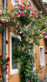 Chez Fanny - Bédoin - 9