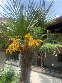 La Doi Pasi De Mare - 5