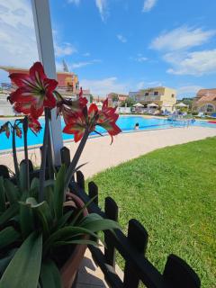 Tondoris Apartments - Sidari - 1