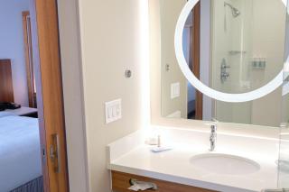 SpringHill Suites by Marriott Dallas Richardson/Plano - Richardson - 2