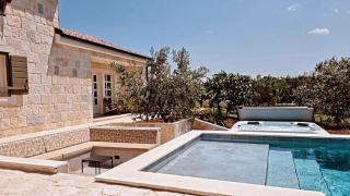 NEW 2023 Villa Tree of Life - Sveti Petar - 7