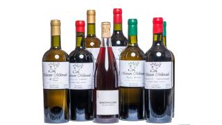 Milorava's Guest House & Wine Cellar - 3