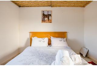 Elaaz Horse Farm - Azemmour - 3