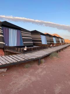 Discover the life of Wadi Rum - Wadi Rum - 7