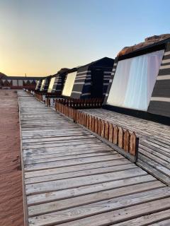 Discover the life of Wadi Rum - 8