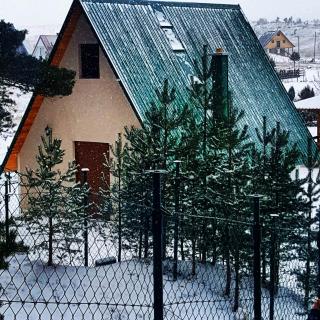 Cottage Tea/Vikendica Tea, Durmitor NP, Žabljak - Žabljak - 8