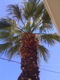 Maria Apartments - 3