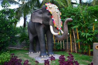 Uday Suites - The Airport Hotel - Trivandrum - 5