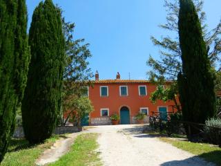 Scappo in Umbria, Casale Beatrice - Montecchio - 9