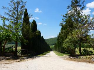 Scappo in Umbria, Casale Beatrice - Montecchio - 2