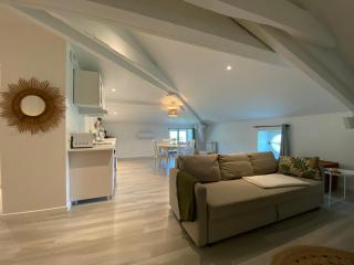 Appartement Cocon dans domaine historique d'exception - Vernaison - 3