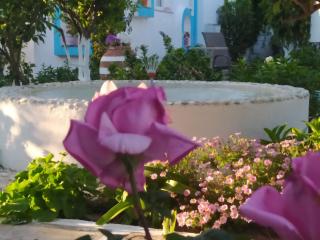PERIVOLI 4-CHORA(5min away from the center by car) - Agkidia - 2