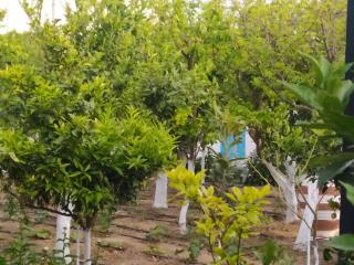 PERIVOLI 4-CHORA(5min away from the center by car) - Agkidia - 3