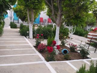 PERIVOLI 4-CHORA(5min away from the center by car) - Agkidia - 7