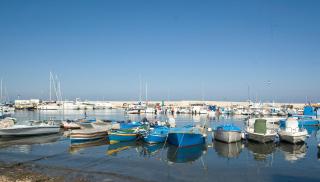 Regina di Cuori - Mola di Bari - 9