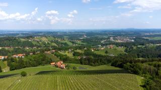 Schilcherland Studio - Greisdorf - 5
