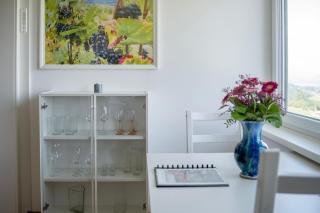 Schilcherland Studio - Greisdorf - 7