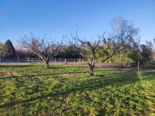 Les petits volets bleus - Bouchet - 1
