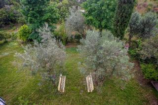 BELVEDERE APPARTMENTS - 8