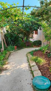 GreenHouse_Anzio - Anzio - 5