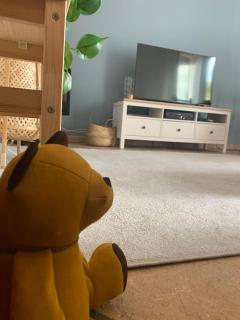 Castagneti House -14 km dalla FERRARI - 8