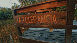 La Tolerancia - Tigre - 9