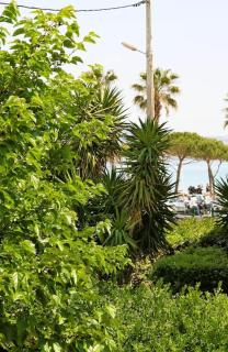 Blue Summer Vibes - Studio duplex 3 - AC, parking, beach at 50m, SPA discnt - 5