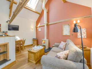 The Linney - Bideford - 7