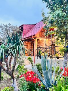 Sunshine House - Kutaisi - 0