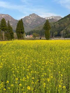 ぜーんぶ貸切!! 大自然の森に佇む秘密の隠れ家で心と身体を解放する... - Yuzawa - 3