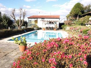 VNC13V4, encantadora casa e piscina, vista rio Min - 3