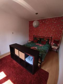 Anno 1877 appartement met tuin - 3