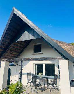 Naturidyll Mariendorf - Reethus Rotbuche - Mariendorf - 1