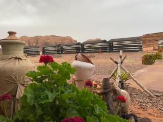 Desert Island Camp - 3