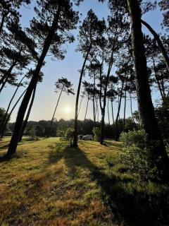 Tente Lodge Bouleau - La Téouleyre - Saint-Julien-en-Born - 2