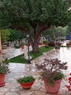 Il Poggetto Marzamemi B&B - Marzamemi - 1