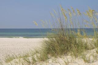 Laketown Wharf Resort Family Friendly Condos 2nd and 3rd floors Just Steps To The Beach 5 Pools Lake View - Panama City Beach - 3