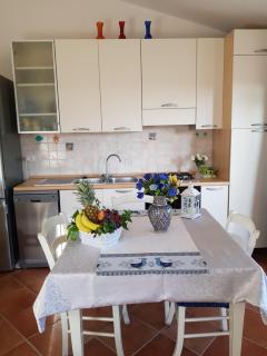 ROSA DEI VENTI - CASA MAESTRALE - Sardegna - IUN R2217 - Olbia - 1