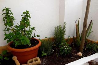 Penthouse Terrace - Málaga - 6