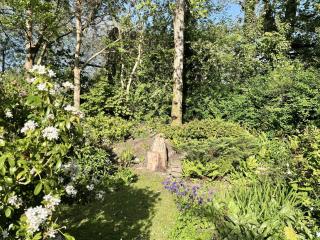 Red Squirrel Haven - 2