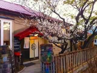 The Otaornai Backpacker's Hostel Morinoki - 2