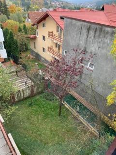 Constantinescu A - Buşteni - 7