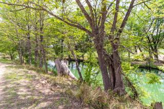 Cypress Star in Bandera - 5