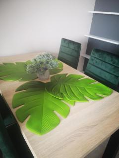 Urokliwy apartament - Sandomierz - 9