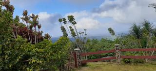 Villa La Vista of Panama City and magestical mountains from infinity pool - Cerro Azul - 9