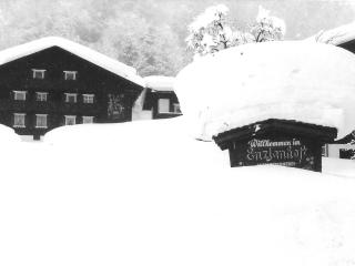 Enzianhof - Silbertal - 9