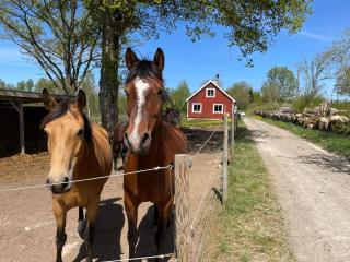 6 person holiday home in TINGSRYD-By Traum - 8