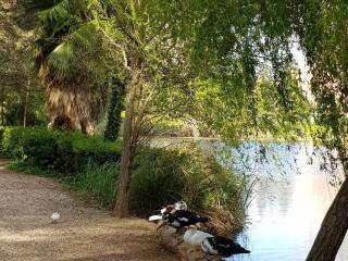 T2 climatisé - Wi-Fi - Parking - Piscine - Tennis - 200m plages & commerces - FR-1-316-322 - Six-Fours-les-Plages - 1